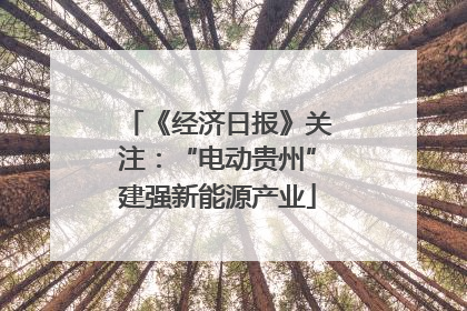 《经济日报》关注：“电动贵州”建强新能源产业