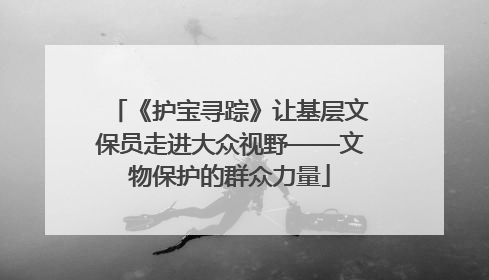 《护宝寻踪》让基层文保员走进大众视野——文物保护的群众力量