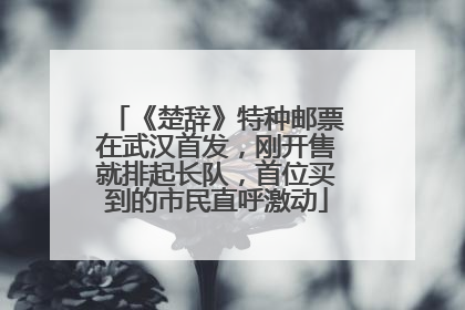 《楚辞》特种邮票在武汉首发，刚开售就排起长队，首位买到的市民直呼激动