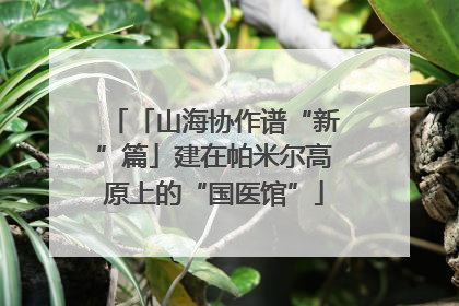「山海协作谱“新”篇」建在帕米尔高原上的“国医馆”