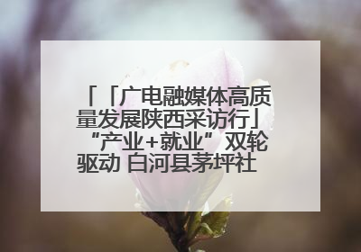 「广电融媒体高质量发展陕西采访行」“产业+就业”双轮驱动 白河县茅坪社区打造易地搬迁后扶新样本