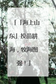 「海上山东」投苗耕海，牧海图强！