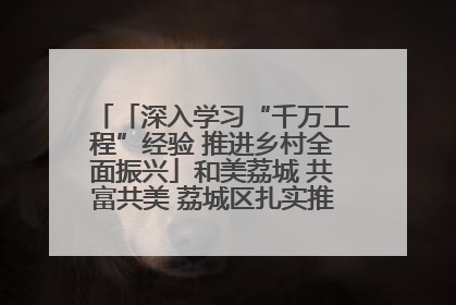 「深入学习“千万工程”经验 推进乡村全面振兴」和美荔城 共富共美 荔城区扎实推进乡村振兴工作