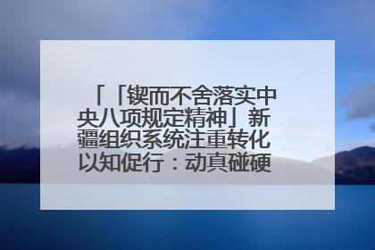 「锲而不舍落实中央八项规定精神」新疆组织系统注重转化以知促行：动真碰硬抓好整改整治