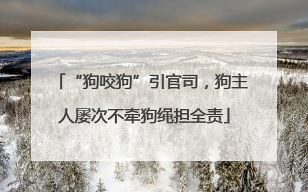 “狗咬狗”引官司，狗主人屡次不牵狗绳担全责
