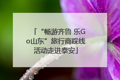 “畅游齐鲁 乐Go山东”旅行商踩线活动走进泰安