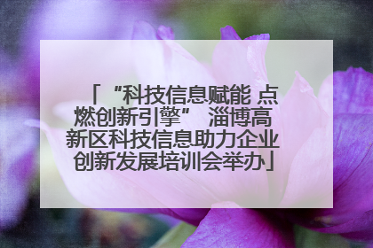“科技信息赋能 点燃创新引擎” 淄博高新区科技信息助力企业创新发展培训会举办