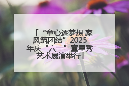 “童心逐梦想 家风筑团结”2025年庆“六一”童星秀艺术展演举行