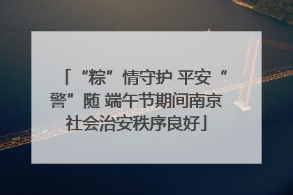 “粽”情守护 平安“警”随 端午节期间南京社会治安秩序良好