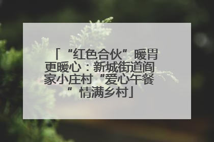 “红色合伙”暖胃更暖心：新城街道阎家小庄村“爱心午餐”情满乡村