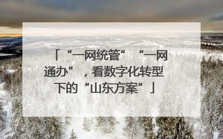 “一网统管”“一网通办”，看数字化转型下的“山东方案”