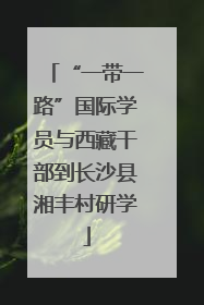 “一带一路”国际学员与西藏干部到长沙县湘丰村研学