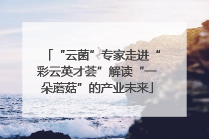 “云菌”专家走进“彩云英才荟”解读“一朵蘑菇”的产业未来