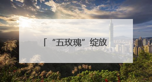 “五玫瑰”绽放 新城小学混编少年足球队勇夺四强