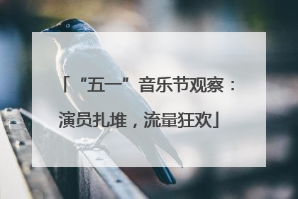 “五一”音乐节观察：演员扎堆，流量狂欢