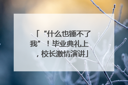 “什么也锤不了我”！毕业典礼上，校长激情演讲