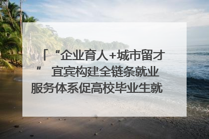 “企业育人+城市留才” 宜宾构建全链条就业服务体系促高校毕业生就业｜您牵挂的四川