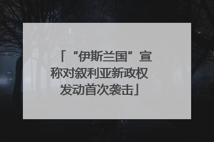 “伊斯兰国”宣称对叙利亚新政权发动首次袭击