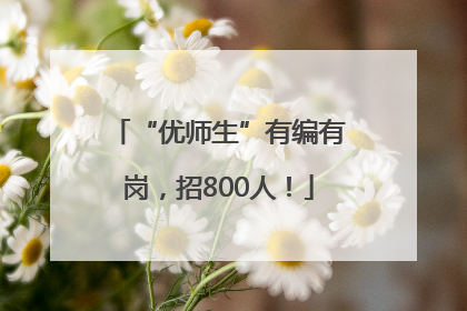“优师生”有编有岗，招800人！
