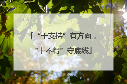 “十支持”有方向，“十不得”守底线