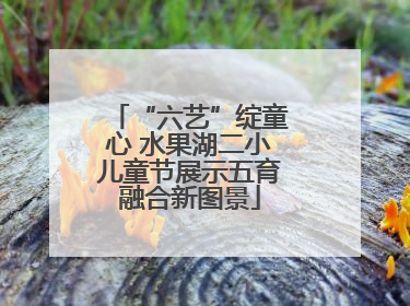 “六艺”绽童心 水果湖二小儿童节展示五育融合新图景