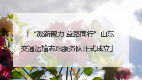“凝新聚力 益路同行”山东交通运输志愿服务队正式成立