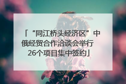 “同江桥头经济区”中俄经贸合作洽谈会举行 26个项目集中签约