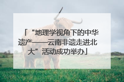 “地理学视角下的中华遗产——云南非遗走进北大”活动成功举办