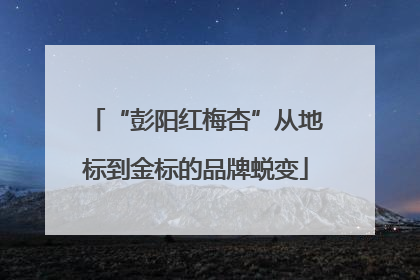 “彭阳红梅杏”从地标到金标的品牌蜕变