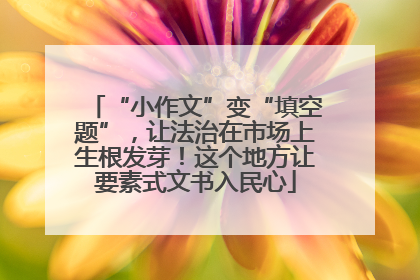 “小作文”变“填空题”，让法治在市场上生根发芽！这个地方让要素式文书入民心