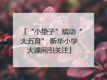 “小垫子”撬动“大五育” 新华小学大课间引关注