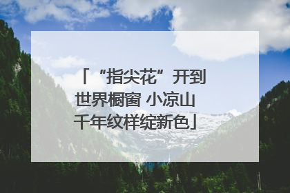 “指尖花”开到世界橱窗 小凉山千年纹样绽新色