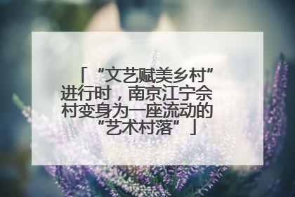 “文艺赋美乡村”进行时，南京江宁佘村变身为一座流动的“艺术村落”
