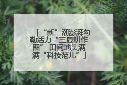 “新”潮澎湃勾勒活力“三夏耕作图” 田间地头满满“科技范儿”