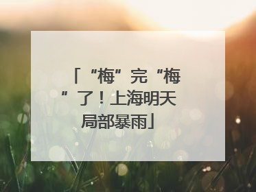 “梅”完“梅”了！上海明天局部暴雨