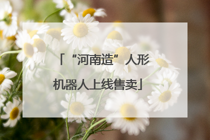 “河南造”人形机器人上线售卖
