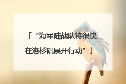 “海军陆战队将很快在洛杉矶展开行动”