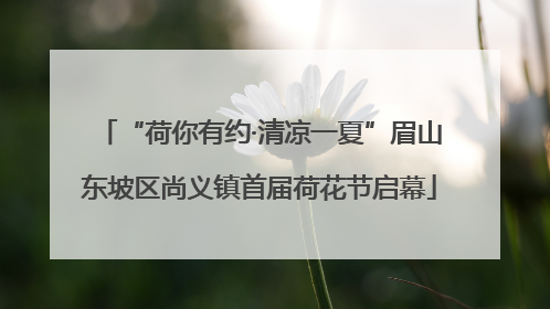 “荷你有约·清凉一夏”眉山东坡区尚义镇首届荷花节启幕