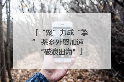 “聚”力成“擎” 茶乡外贸加速“破浪出海”
