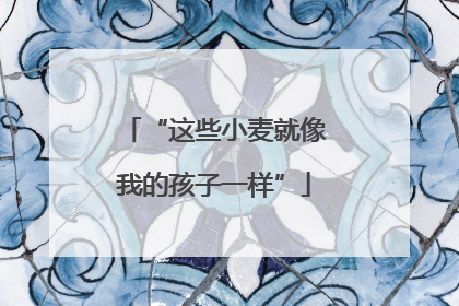 “这些小麦就像我的孩子一样”