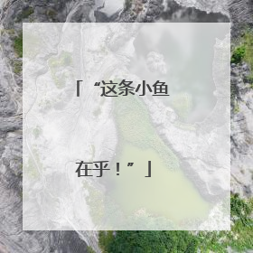 “这条小鱼在乎！”