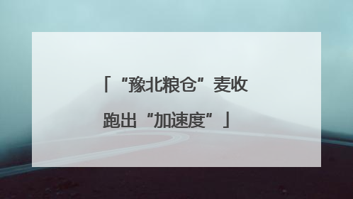 “豫北粮仓”麦收跑出“加速度”