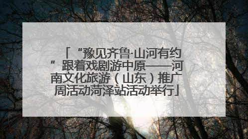 “豫见齐鲁·山河有约”跟着戏剧游中原——河南文化旅游（山东）推广周活动菏泽站活动举行