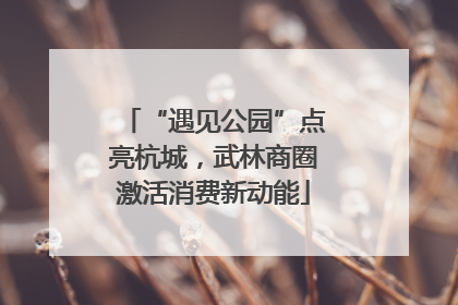 “遇见公园”点亮杭城，武林商圈激活消费新动能