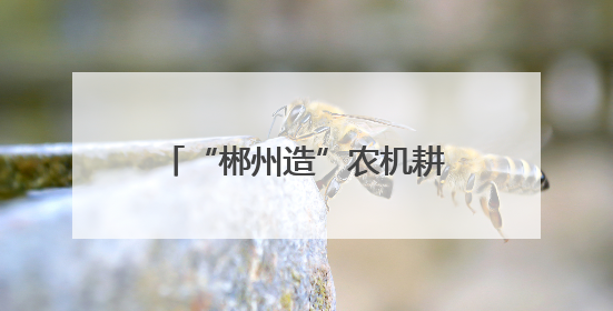 “郴州造”农机耕耘非洲好“丰”景