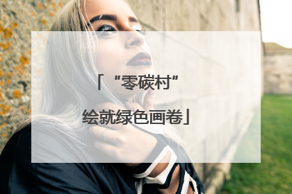 “零碳村” 绘就绿色画卷