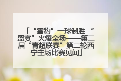 “雪豹”一球制胜 “盛宴”火爆全场——第二届“青超联赛”第二轮西宁主场比赛见闻