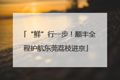 “鲜”行一步！顺丰全程护航东莞荔枝进京
