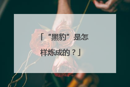 “黑豹”是怎样炼成的？