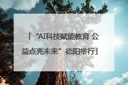“AI科技赋能教育 公益点亮未来”德阳举行